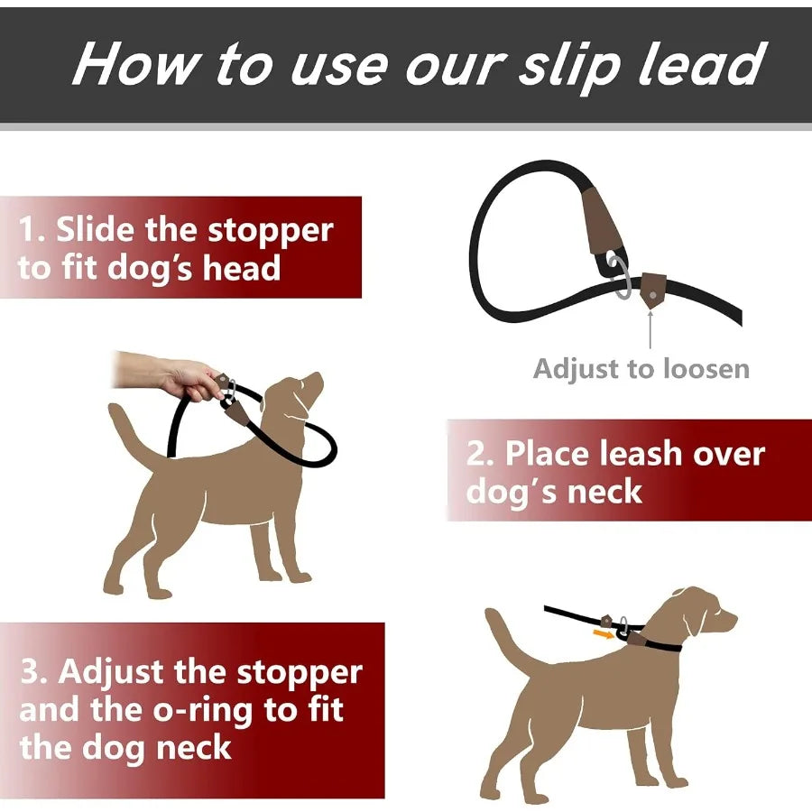 Slip Lead Dog Leash 6FT x 1 2 Reflective Durable Training Rope Heavy Duty Adjustable Nylon for Small Medium Large Dogs Green Pe